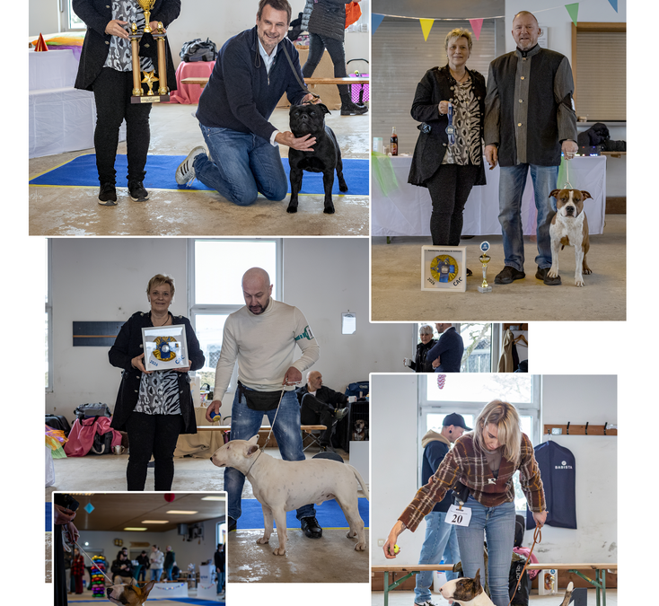 4. SRA Karneval der Bull & Terrier in Dietenhofen 2026